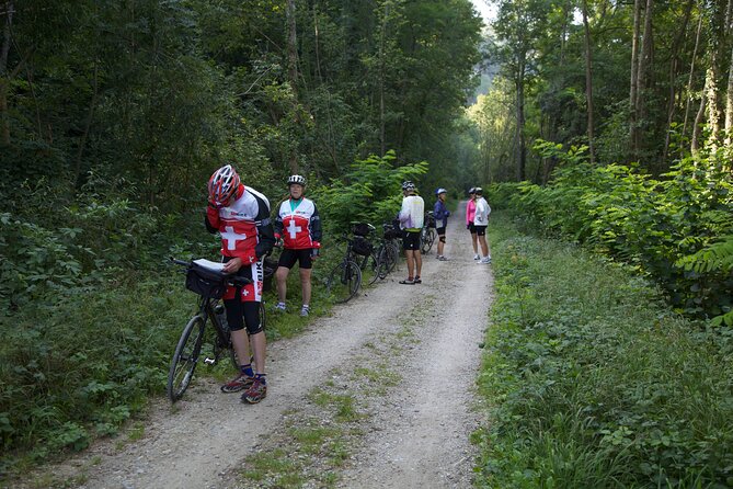 11-Day Private Lite Tour Across Switzerland by Bike from Geneve - Day 1 in Geneva: Fitting the Trip to You