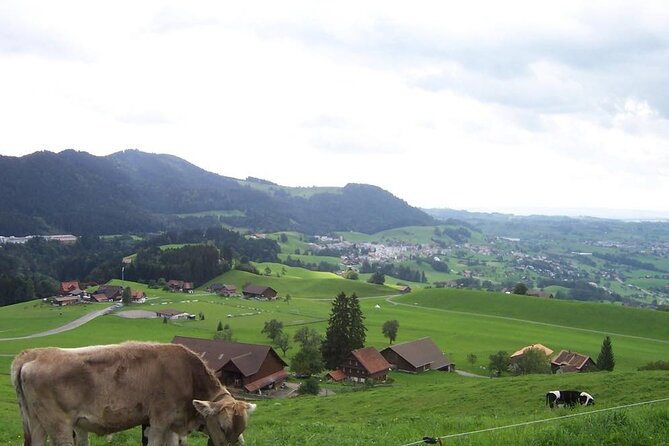 11-Day Private Lite Tour Across Switzerland by Bike from Geneve - Days 5 and 6: Solothurn, the River, and a Possible Rest Day