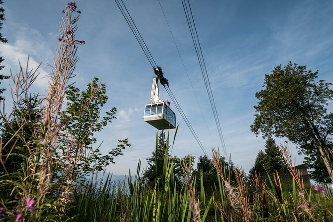 2-Day Mt Rigi Tour from Zurich Including Mineral Baths and Lake Lucerne Cruise - Dinner and breakfast at the mountain hotel