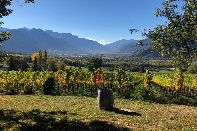 3 Hour Unique Wine Tour - Half Day in Swiss Alps - What the three-hour route actually gives you