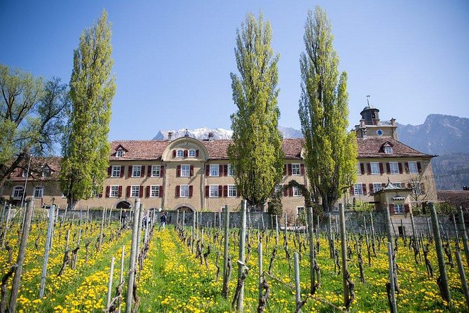 3 Hour Unique Wine Tour - Half Day in Swiss Alps - Rhine Valley scenery without a long hike