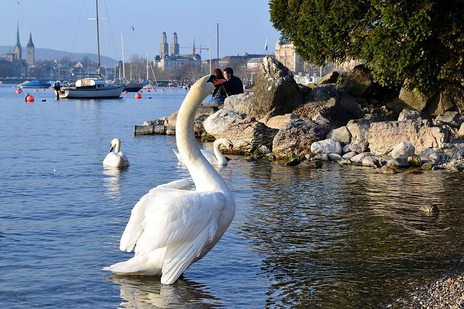 3 in 1: Zurich Walking Tour - Cruise on the Lake - Cable Car Ride to Felsenegg - Is $110.34 a fair price?