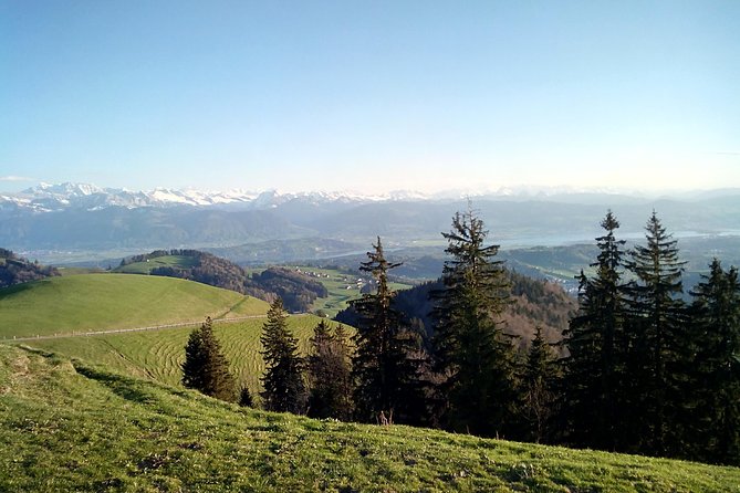 4-hour Quad Tour near Zurich - Key points to know before booking