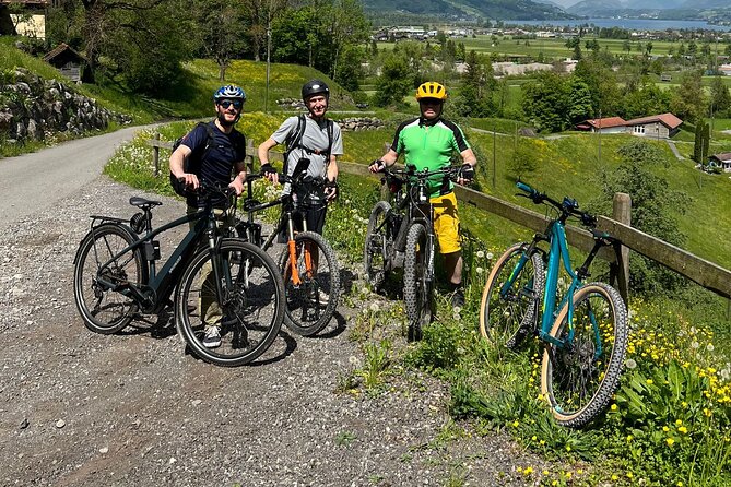 4 Lakes E-Bike Guided Tour and Lake Cruise - Starting at Lucerne station at 8:15 a.m.