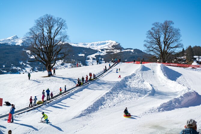 Afternoon Beginner Package Ski in Interlaken - Starting at the OUTDOOR base in Wilderswil