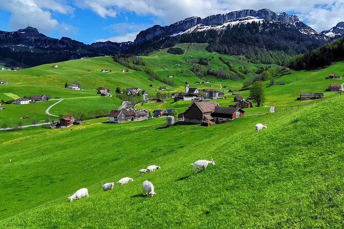 All Inclusive Rhine Falls and Appenzell Private Day Tour from Zurich - What the Private Format Adds
