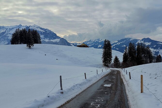 All Inclusive Rhine Falls and Appenzell Private Day Tour from Zurich - Is $1,397.62 Per Person Good Value?
