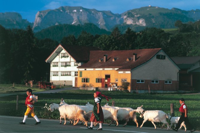 Appenzell Alps Day Trip from Zurich – Farm Life & Cheese Tasting - Why this makes a good escape from Zurich