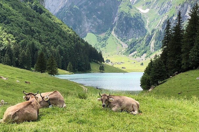 Appenzell, Laderach, Liechtenstein & Vaduz Day Trip from Zürich - Who gets the best value from this experience