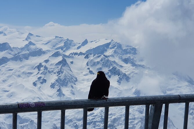 Attraction Ticket: Mt. Titlis by Train and Cableway from Lucerne - Four hours: enough for the highlights?