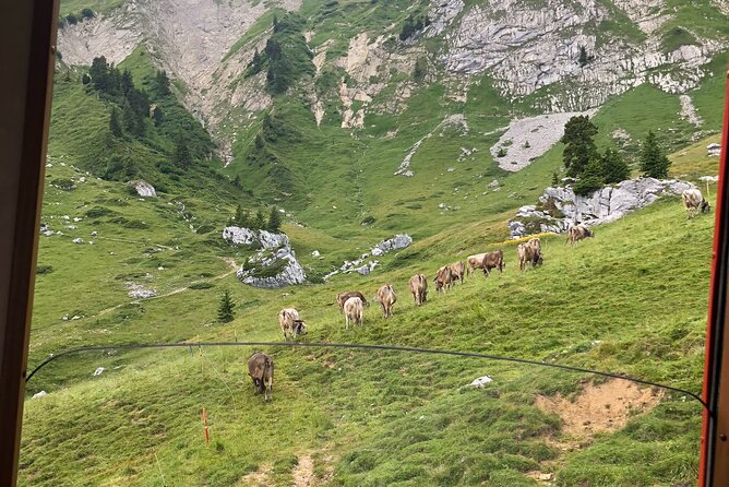 Basel Private tour - Mt. Pilatus and Cruise on Lake of Lucerne - Two hours above Lucerne