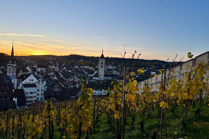 Basel Private Tour: Stein Am Rhein, Schaffhausen and Rhine Cruise - What the $709.84 price includes