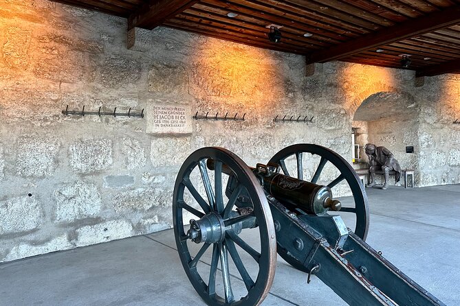 Basel Private Tour: Stein Am Rhein, Schaffhausen and Rhine Cruise - Who should book this experience?