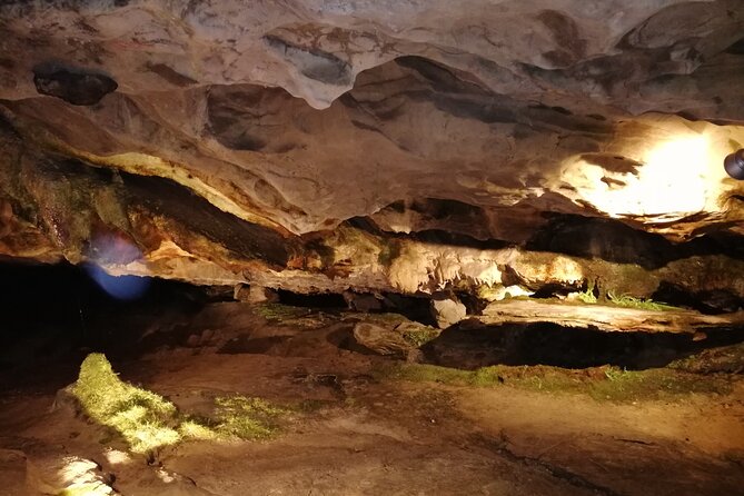 Beatus Caves, Panoramic Bridge, Nature Park Blue Lake and Lake Thun Cruise - Two free hours in Thun
