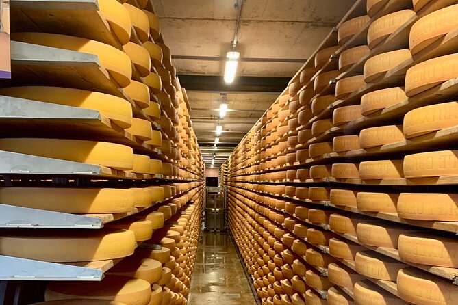 Bern Private Tour - Gruyères , Cheese, and Lavaux's UNESCO Wine - Cancellation and timing advice