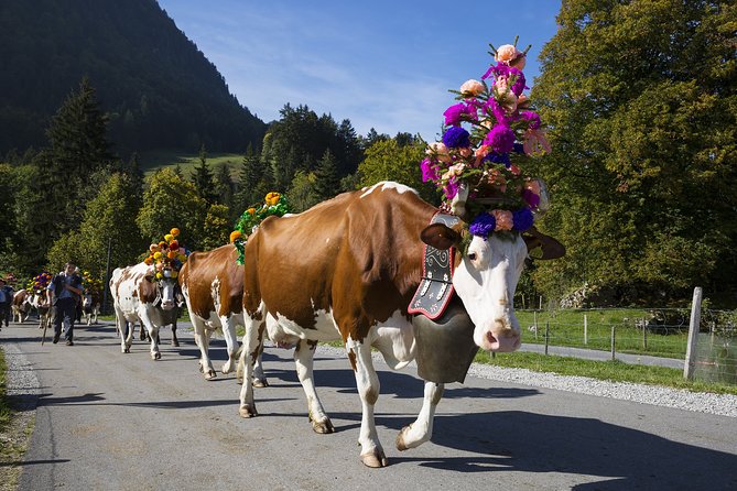 Berne the Capital and Cheese paradise Emmental (Private Tour) - A private guide changes the tone