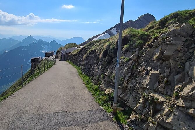 Bernese Alps, Steam Train & Lake Cruise (Private Tour) - The private vehicle and driver-guide experience