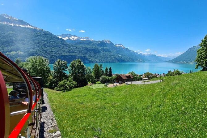 Bernese Alps, Steam Train & Lake Cruise (Private Tour) - Who will enjoy this Swiss Alps experience most?