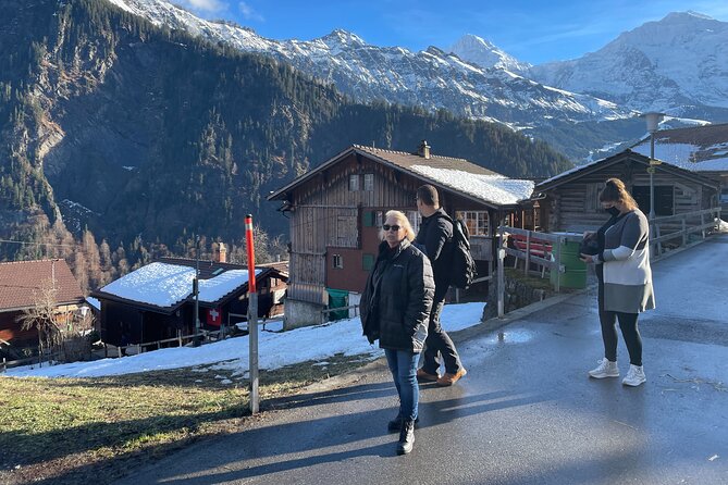 Best of Bernese Oberland & Swiss Countryside Tour (Private Tour) - What the private vehicle and guide add