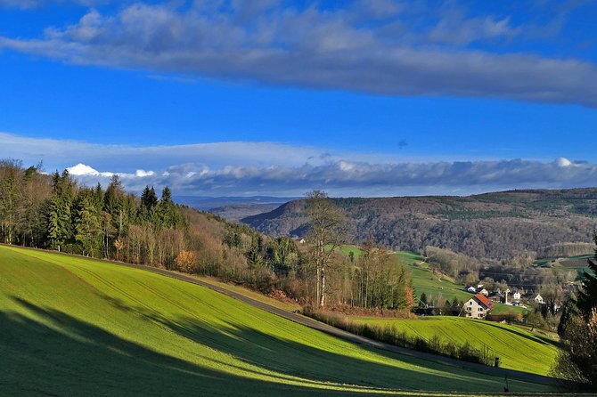 Best of the Black Forest and Rhinefalls from Zurich - Key points to know before booking