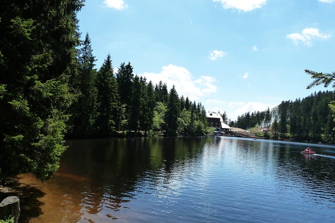 Best of the Black Forest and Rhinefalls from Zurich - Triberger Falls: the day’s biggest walk