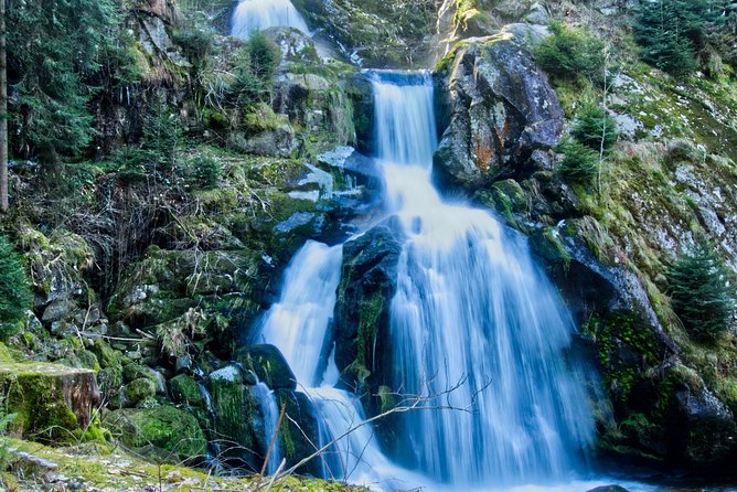 Best of the Black Forest and Rhinefalls from Zurich - Rhine Falls: start with power and spray