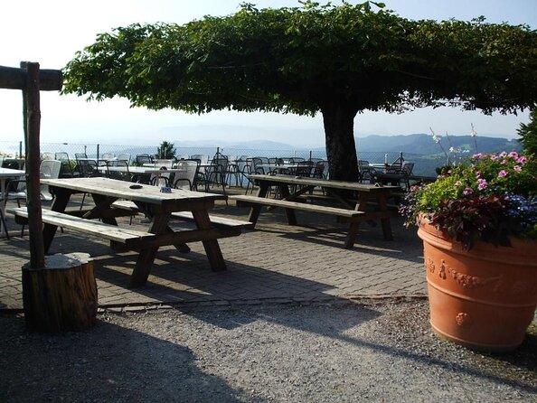 Best of Zurich Tour with Felsenegg Cable Car and Ferry Ride - Why this tour works as a Zurich introduction