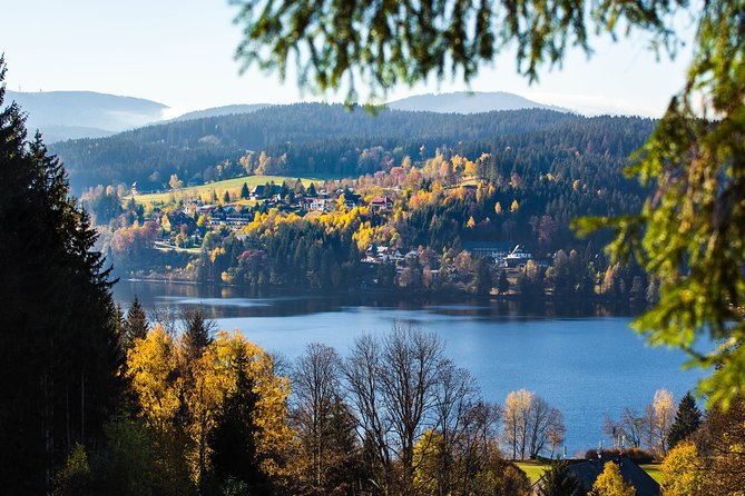 Black Forest and Rhine Falls Day Trip from Zurich - Who will enjoy this day trip most