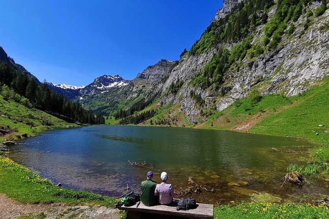 Breathtaking Private Hike with a Local Swiss Expert (1 day trip) - A private day built around your pace