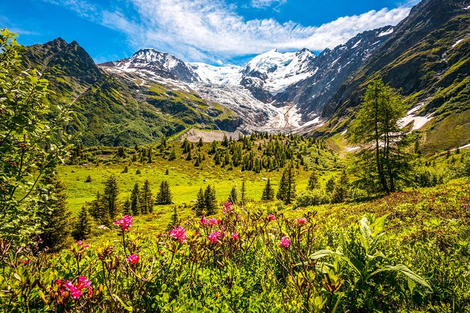 Chamonix and Mont Blanc Private Day Trip from Geneva - From Geneva to the Chamonix Valley