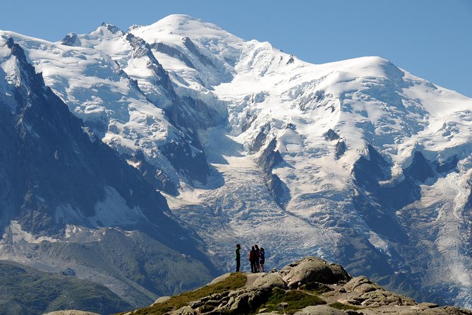 Chamonix & Mont Blanc Panoramic Sky-Glass Bus Guided Day Trip - The price and what you receive for $131.18
