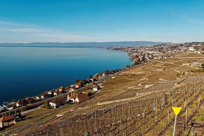 Cheese, Chocolate and Wine in the Bern Region from Luzern - Why this Lucerne day trip covers so much