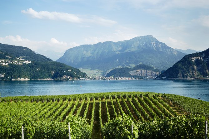 Chocolate, Cheese and Wine Tour in Luzern region - The value of a $879.41 private day