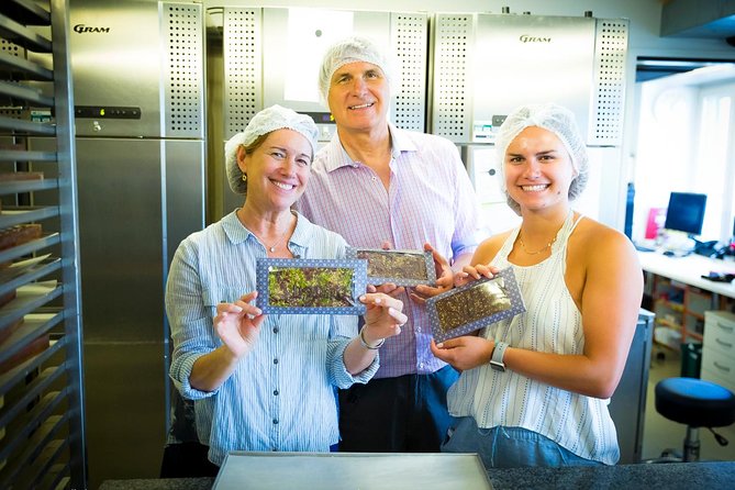 Chocolate Tasting with Lake Trip and City Tour: The Ultimate Lucerne Experience - How the timing and transport affect the morning
