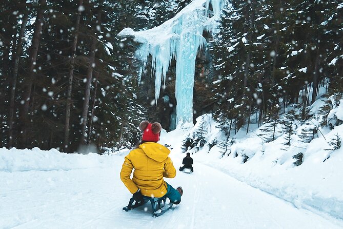 Day Sledding in Interlaken - Key points at a glance