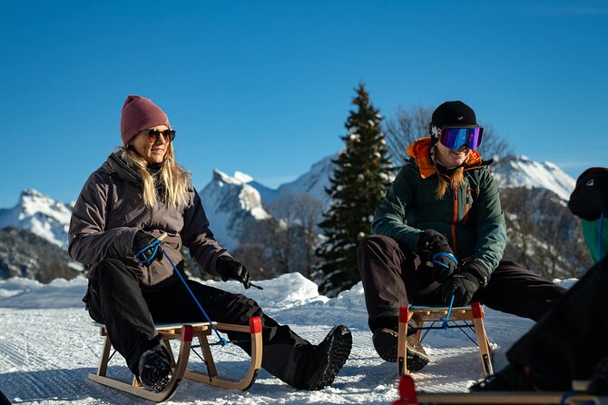 Day Sledding in Interlaken - Is $130.66 a fair price?