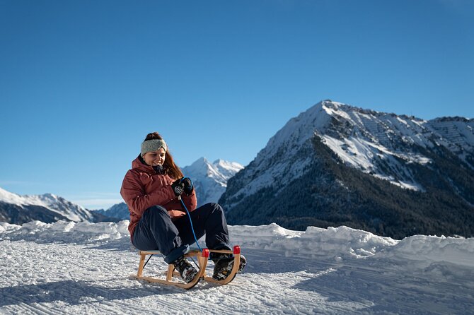 Day Sledding in Interlaken - Who will enjoy this most?