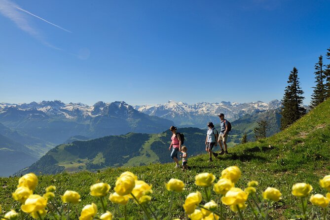 Day Trip to Lucerne and Mount Stanserhorn Including CabriO Cable Car Ride - The vintage funicular from Stans