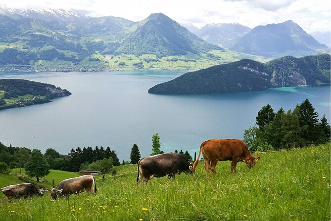 Day Trip to Lucerne and Mt. Rigi with a local from Zurich - Lucerne’s bridges, churches, and old streets