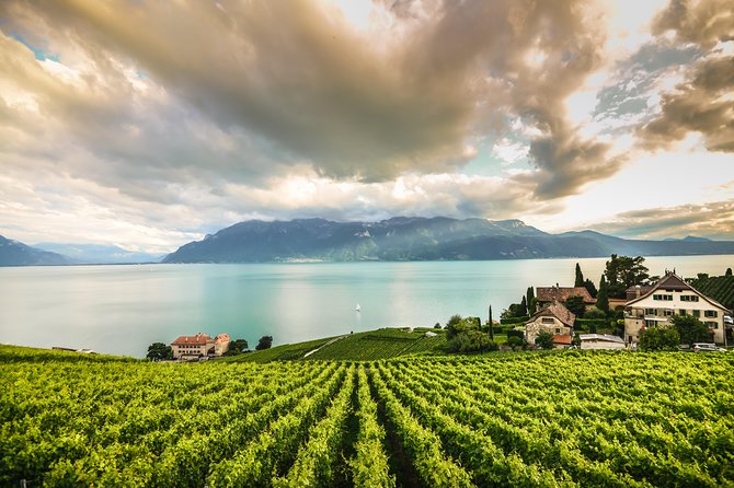 Day Trip to Montreux, Chaplin's World & Chillon Castle& apéritif - Chaplin’s World: The most surprising stop