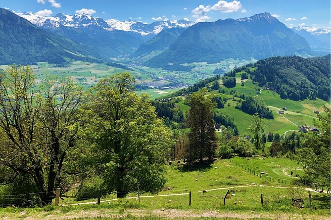 Daytrip to Lucerne and Legendary Bürgenstock Resort from Zurich - Lake Lucerne by shuttle boat