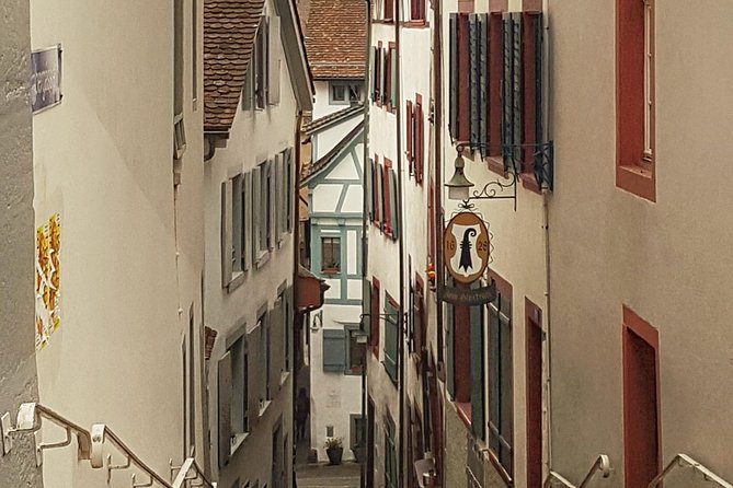 Discover Basel's Charm: Exclusive Private Walking Tour - Münster church and the viewing terrace