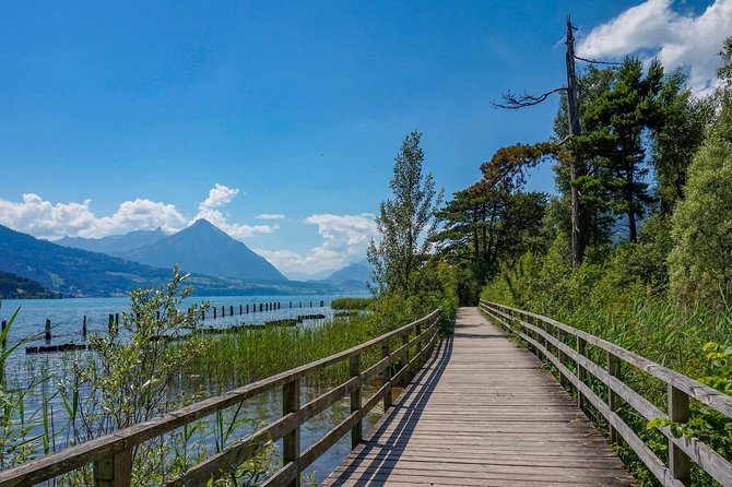 Discover Interlaken’s most Photogenic Spots with a Local - Höhematte Park and Interlaken’s big mountain view