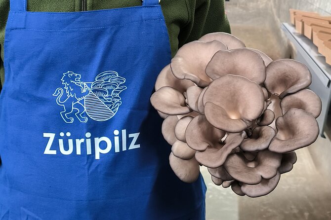Discover the World of Mushrooms - A mushroom farm in an old Zurich reservoir