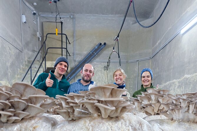 Discover the World of Mushrooms - Why the founders’ story adds value
