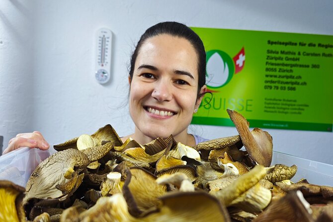 Discover the World of Mushrooms - Timing, transport, and the booking decision