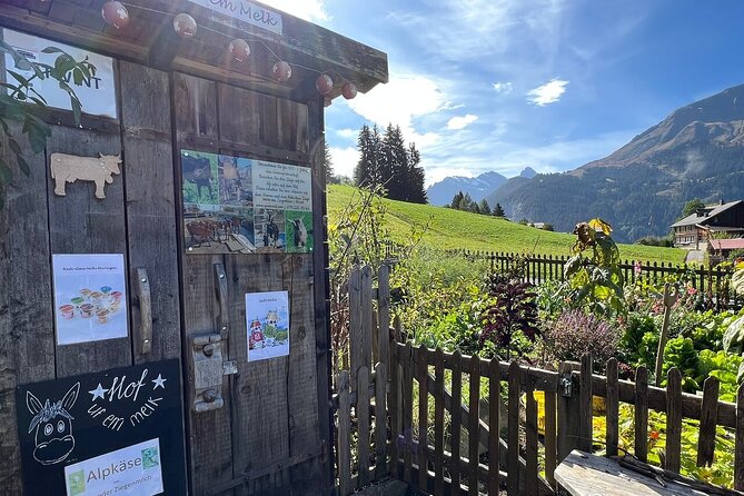 Easy countryside tour in Swiss Alps - kids friendly - The Farm Stop and the Cash You Need
