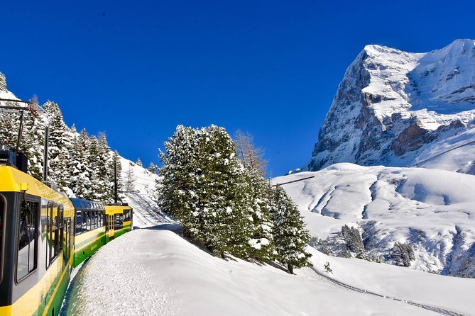 Eiger and Jungfrau Glacier Panorama Tour from Zurich - Going down to Grindelwald