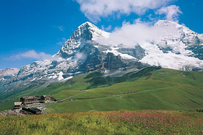 Eiger and Jungfrau Glacier Panorama Tour from Zurich - Price, group size, and overall value