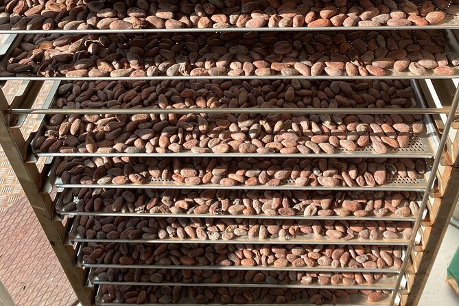 Ethical Chocolate Tour - Is $137.16 a fair price?